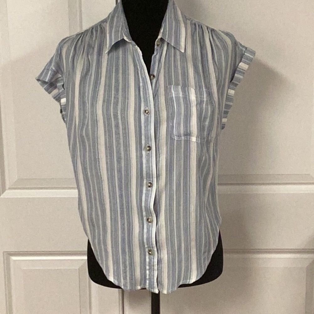 Japna Blue Striped Button Down Top